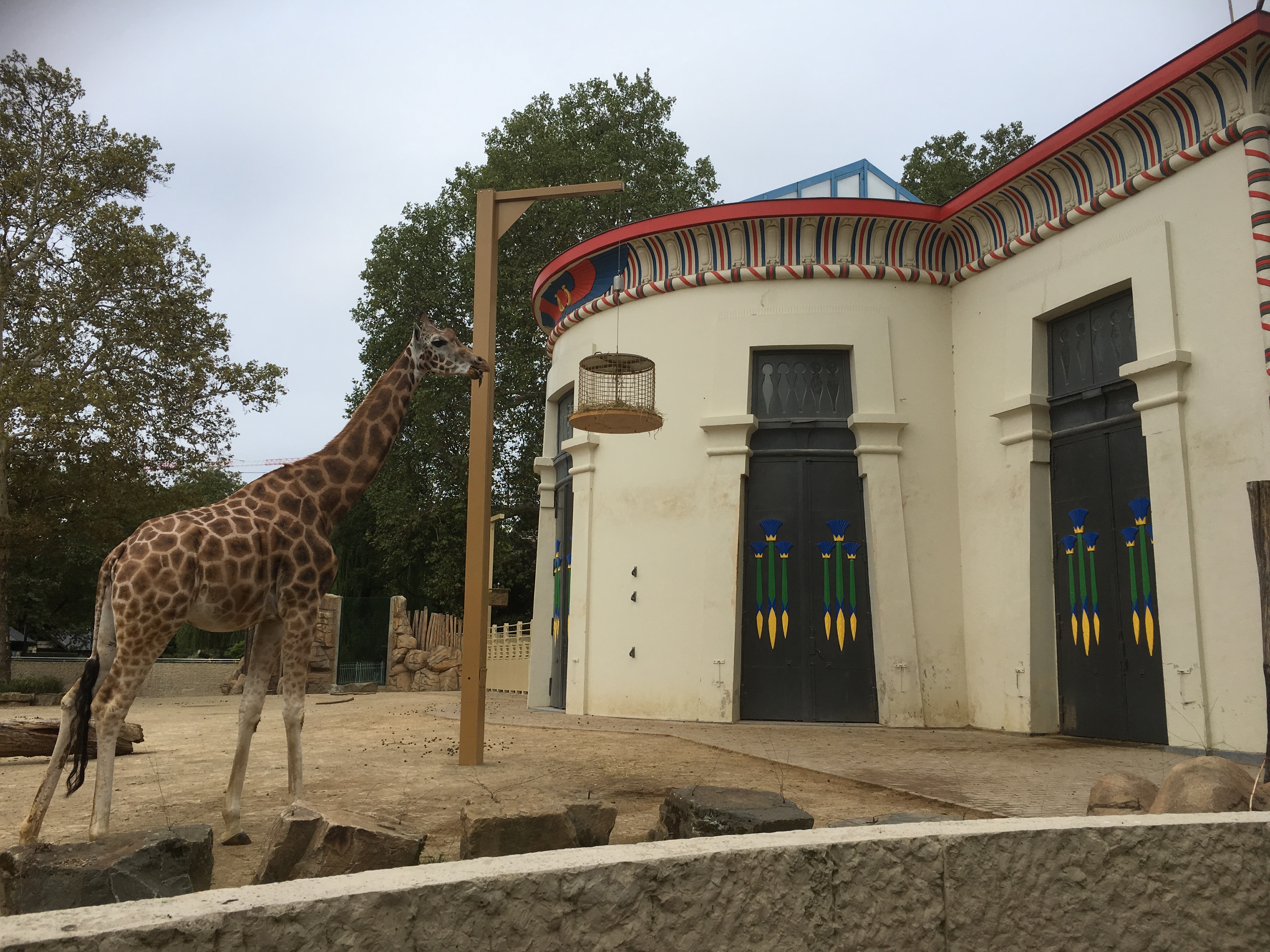 Opknapbeurt in de Zoo van Antwerpen
