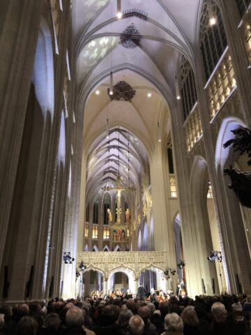 Sint Pieterskerk te Leuven - LaeremansGeertNV